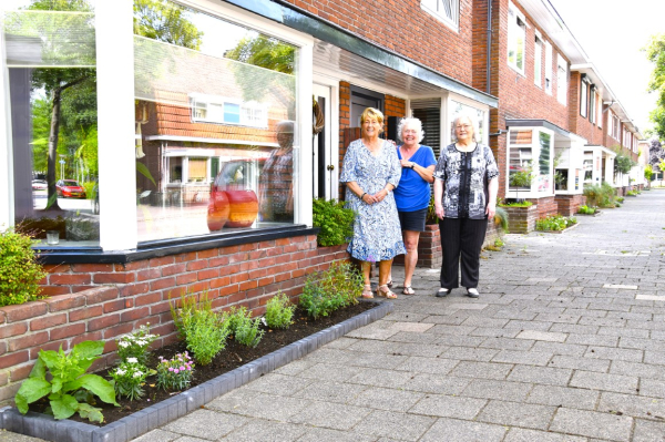 Win-win: met waardplanten in geveltuintjes