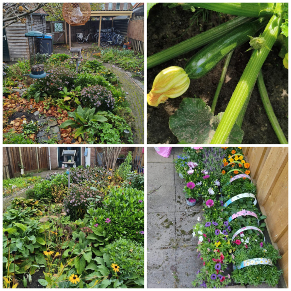 De tuin van Özgür in de herfst 2025