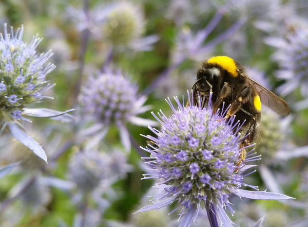 De vijf groenbezig zomertips 2019!