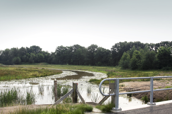 Reggewerkgroep altijd op zoek naar nieuwe leden