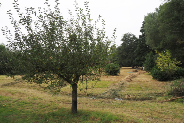 Het hooiland aan het Appellaantje
