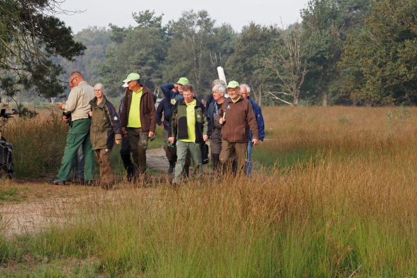 Het veld in