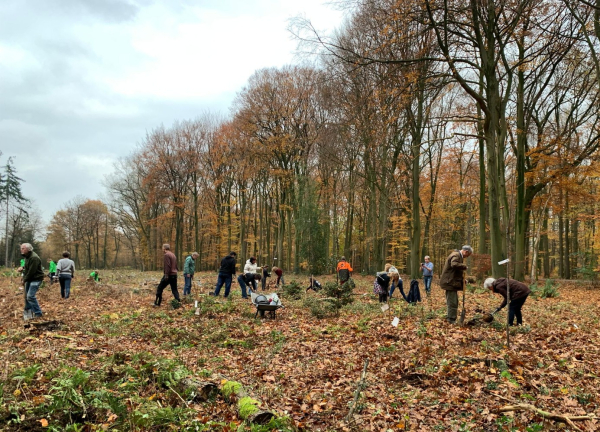 Aanplant voedselbos Hof Espelo