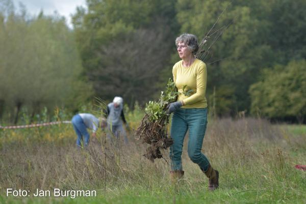 Boompjes voor het Stadshagerbos
