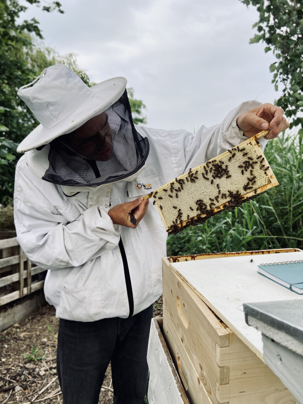 Eric Mahieu: ‘’Je moet insecten zien als toffe tuinbewoners’’