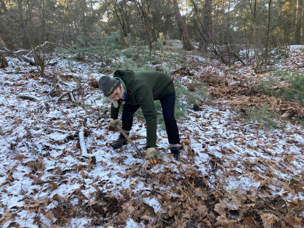 Succesvolle doorstart Natuurwerkgroep Beerze