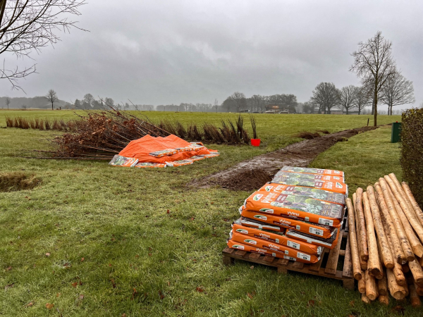 Heg- en boomplantfestijn