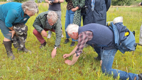 Laat je bijzondere planten ontdekken? Nomineer!