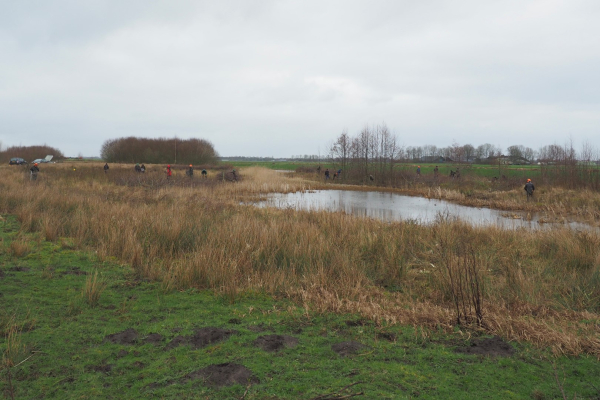 Bosopslag grotendeels verwijderd