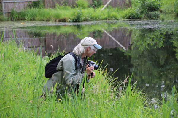 Fotograferen