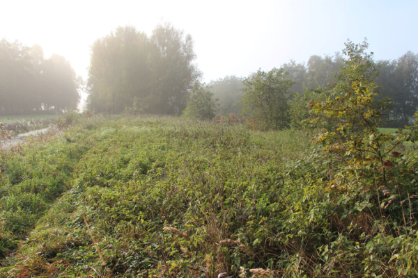 Uitnodiging Verdiepingsdag Voedselbossen