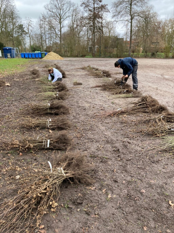 Boomdeeldagen in Overijssel