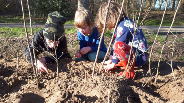 Groene vingers in Dalfsen gezocht