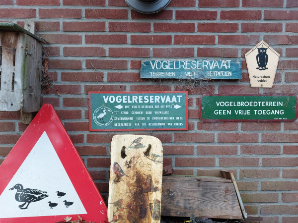 Vogelwerkgroep Losser: ‘Aantallen kleine vogels hollen achteruit’