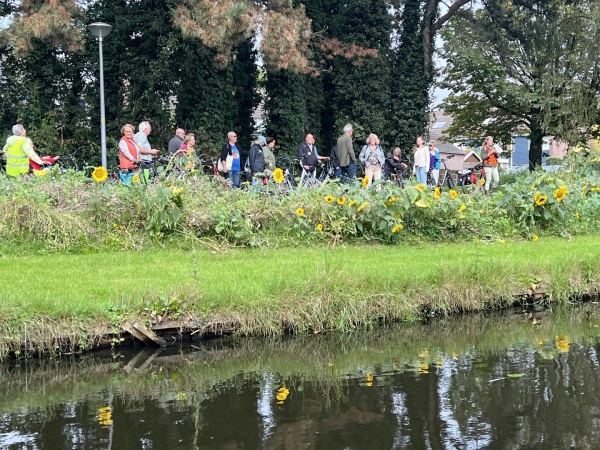 De zonnebloemen weerspiegelden fraai in het water van de Aa.