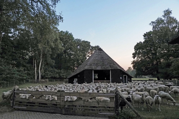 Klaar voor vertrek