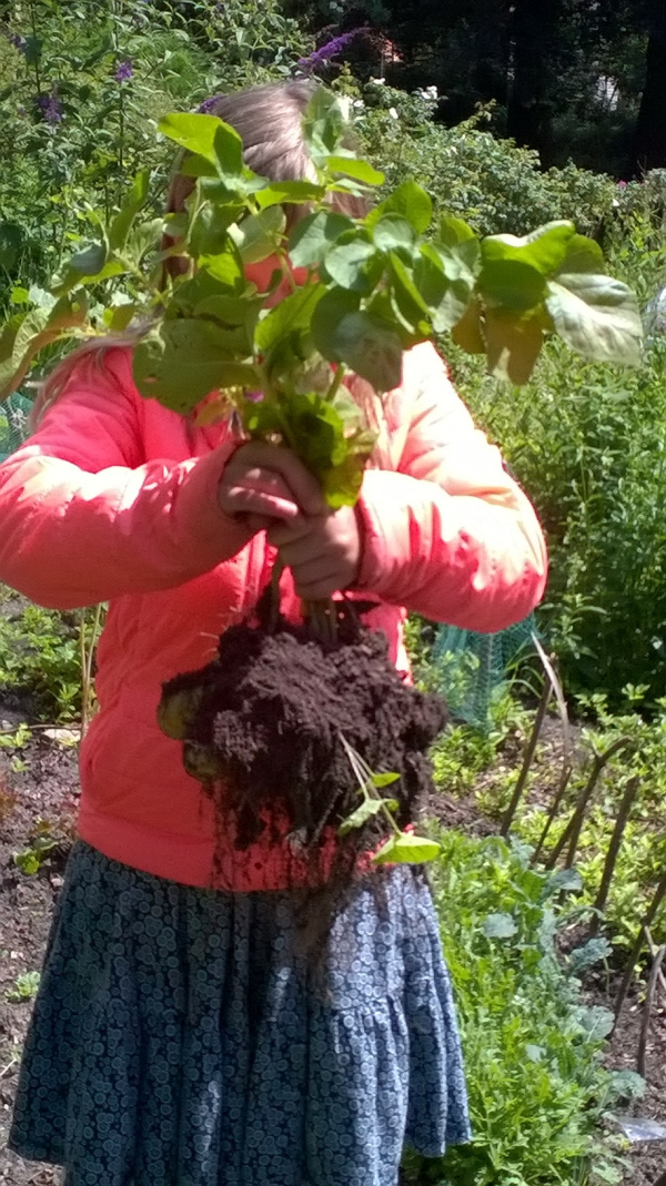 Resto VanHarte kinderresto