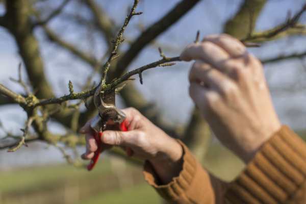 Nieuwe vrijwilligers gezocht voor Landgoed Schuilenburg