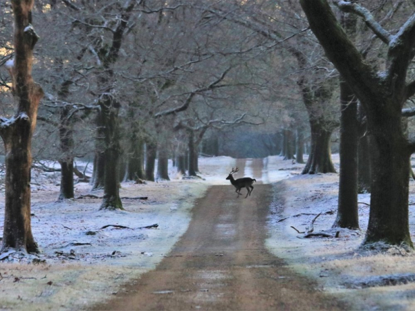 De vijf Groenbezig wintertips van 2019