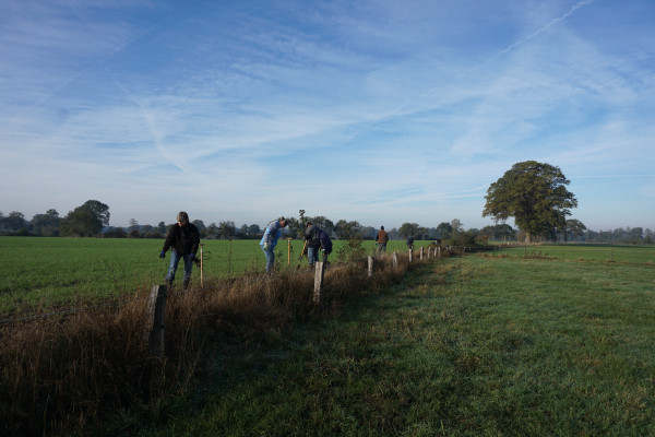 aanplant Groote Scheere