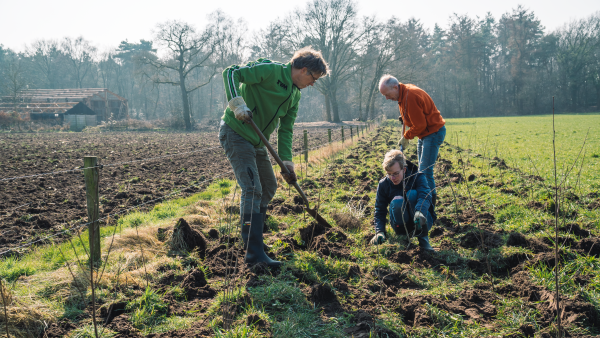 Heggen planten: gezellig, effectief en in 1 ochtend resultaat :)