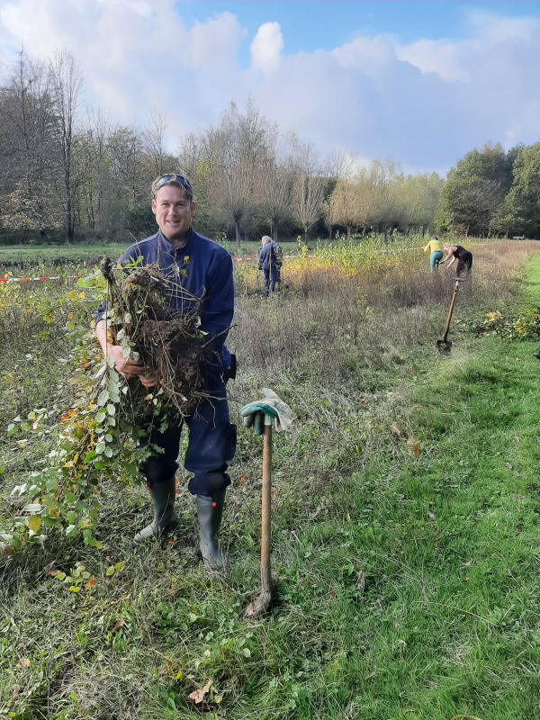 boompjes voor het Stadshagerbos