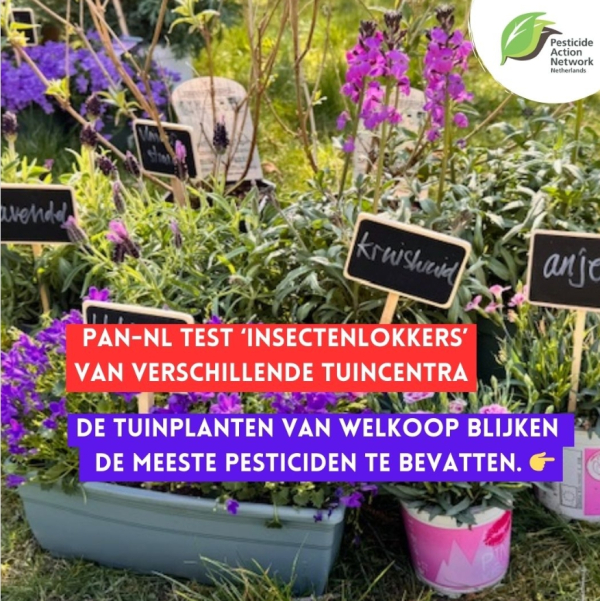 Foto: PAN-NL