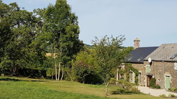 Workshop Voedselbossen Theorie, ontwerp & aanleg