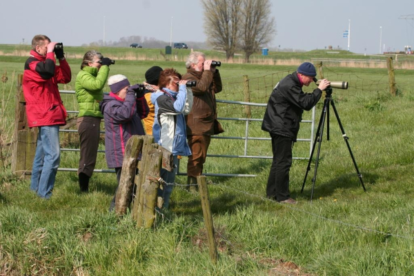 Weidevogels zoeken, Erik de Kruif