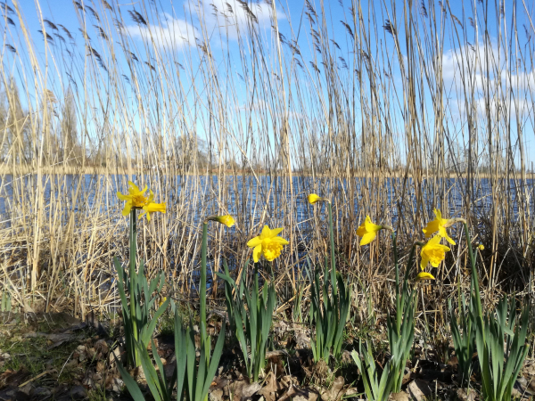 Zo geniet je extra van de lente: 5x wandelapps