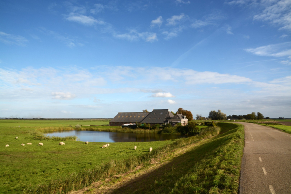 Voormalige Zuiderzeedijk met een boerderij aan de voet van de dijk (Blankenham)