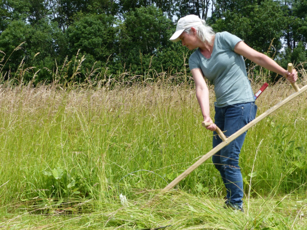 cursus maaien met de zeis