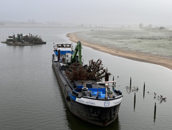 geplaatste en nog te plaatsen bomen
