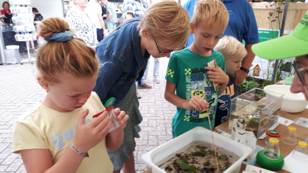Kraam op Stoppelhaene boerenmarkt / Ine Kappert