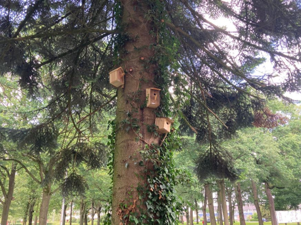 veel nestkastjes om vogels naar de tuin te lokken