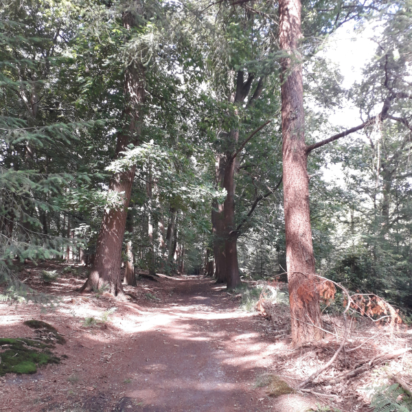 eikenlaan