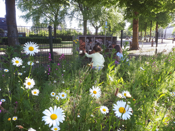 Gratis bloemenzaad en/of bijengastlessen op school