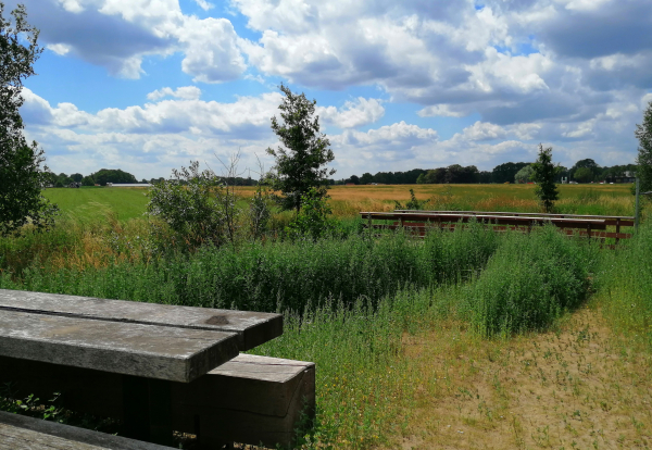 Picknickplek