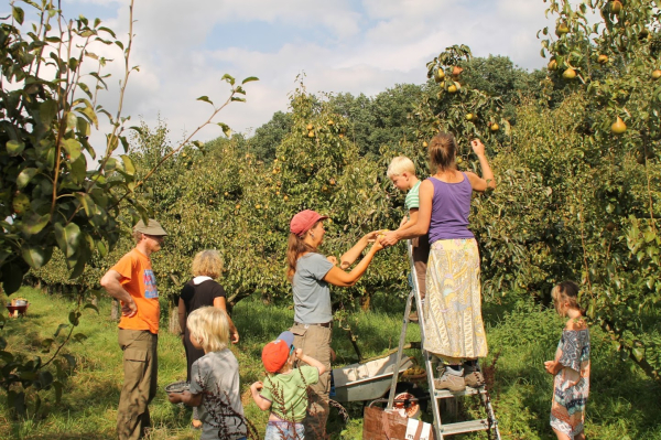 Samen plukken!