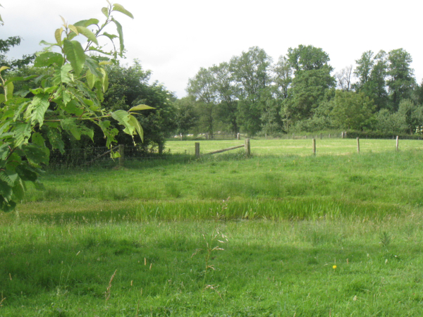 Stichting Het Kleinschalige Landschap stelt zich voor