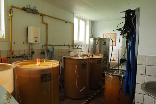 Opslag van de cider