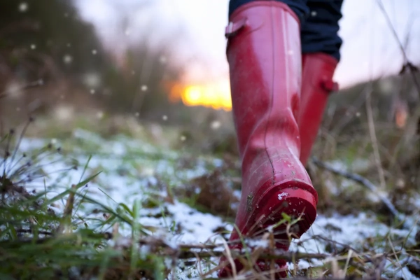 De vijf Groenbezig wintertips 2018