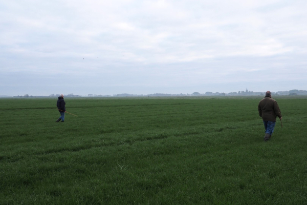 Het veld in