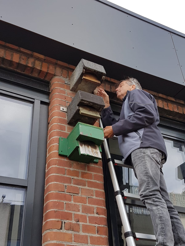 Check van gierzwaluwnestkasten