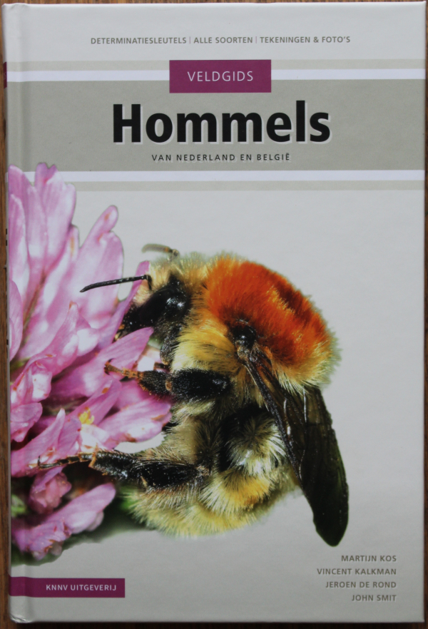 Recensie “Veldgids Hommels van Nederland en België”