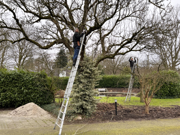 Hoogstambrigade Steenwijkerland levert vakmanschap