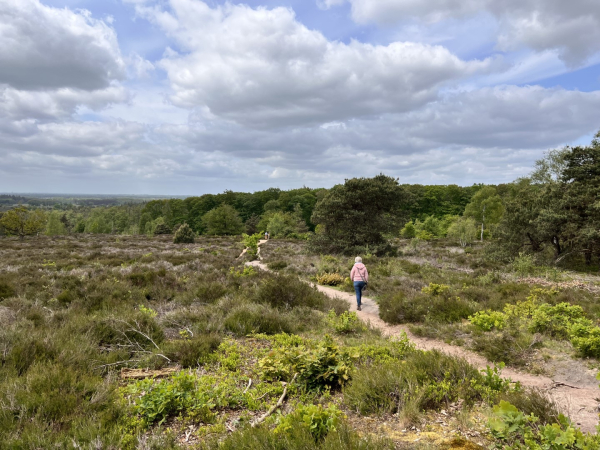 Uitzicht vanaf de top van de Noetselerberg