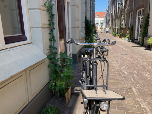 Groene Loper Kampen helpt met plannen Groene Burendag 2023