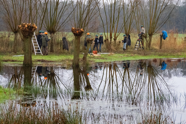 Harde werkers