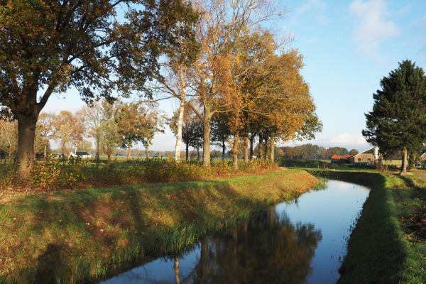 Lettelerleide, Land van Ons en de Melkbrouwerij willen in gesprek over een meer natuurlijke oever